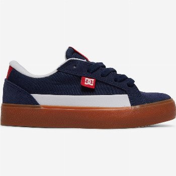 DC Shoes LYNNFIELD - SHOES FOR KIDS BLUE