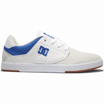 DC Shoes PLAZA - LEATHER SHOES FOR MEN BLUE