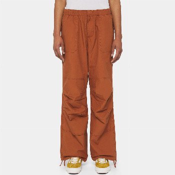 Dickies FISHERSVILLE TROUSERS WOMAN LIGHT BROWN