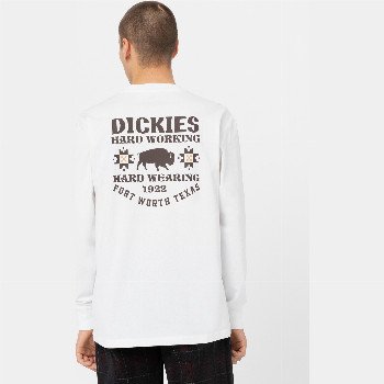 Dickies HAYS LONG SLEEVE T-SHIRT MAN WHITE