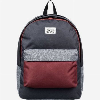 Quiksilver EVERYDAY POSTER DOUBLE 30L - LARGE BACKPACK RED