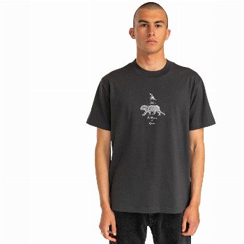 RVCA TIGER STYLE T-SHIRT - WASHED BLACK