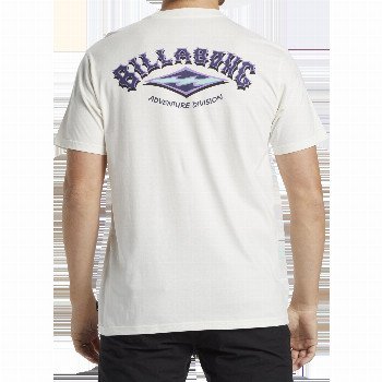 Billabong ADVENTURE DIVISION ARCH T-SHIRT IN OFF WHITE