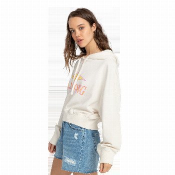 Billabong ALL TIME HOODIE IN SALT CRYSTAL