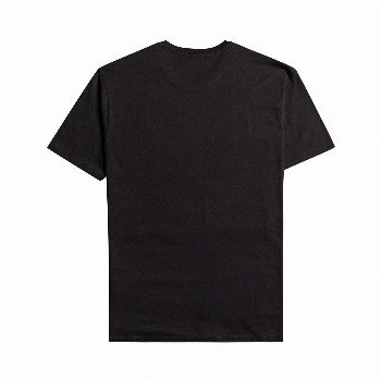 Billabong ARCH T-SHIRT IN BLACK