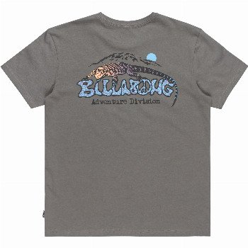 Billabong BOYS LIZARD MOUNTAIN T-SHIRT IN SLATE GREY