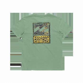 Billabong BOYS STAMP T-SHIRT IN MOSS