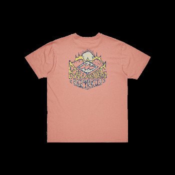 Billabong HOMEGROWN T-SHIRT IN DUSTY ROSE