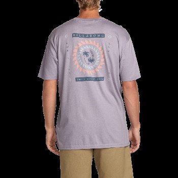 Billabong SPUN OUT PREMIUM T-SHIRT IN LIGHT PURPLE