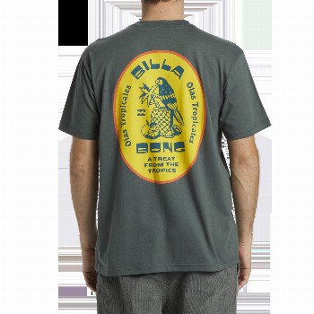 Billabong TROPICALES T-SHIRT IN SLATE GREEN
