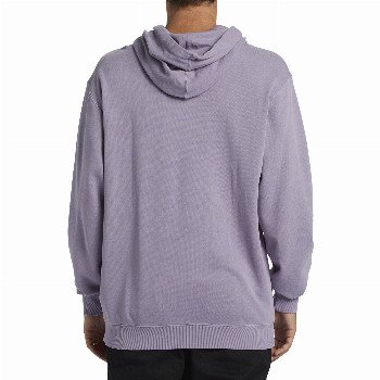 Billabong WAVE WASHED HOODIE IN PURPLE ASH
