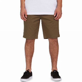 DC ShoesLANAI 22" - BOARD SHORTS FOR MEN BLUE