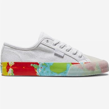 DC ShoesMANUAL S X EVAN SMITH - SKATE SHOES FOR MEN WHITE