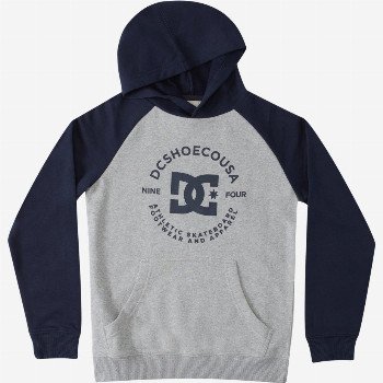 DC Shoes DC STAR PILOT - HOODIE FOR BOYS GREY