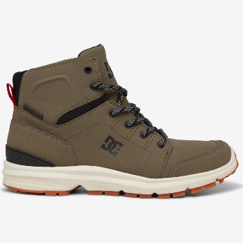 DC ShoesTORSTEIN - LEATHER LACE-UP WINTER BOOTS FOR MEN GREY