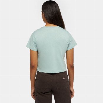 Dickies AITKEN T-SHIRT IN BLUE SURF