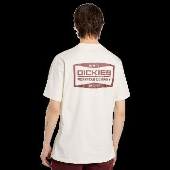 Dickies BOLIVAR T-SHIRT IN EGRET