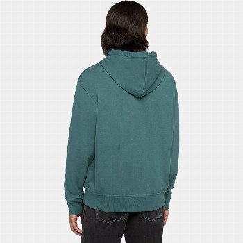 Dickies CLANCY HEAVYWEIGHT HOODIE IN LINCOLN GREEN