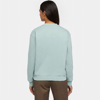 Dickies CLANCY SWEATSHIRT IN BLUE SURF