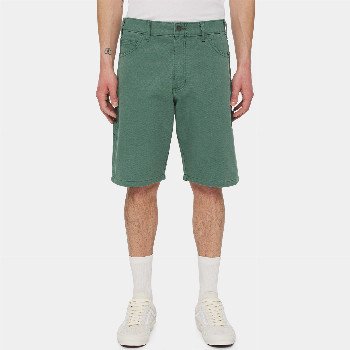 Dickies DUCK CANVAS SHORTS MAN FOREST