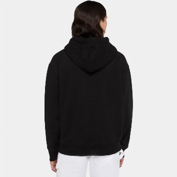 Dickies ENTERPRISE HOODIE IN BLACK