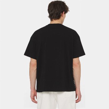 Dickies ENTERPRISE T-SHIRT IN BLACK