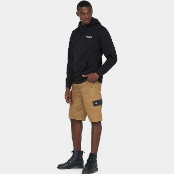 Dickies EVERYDAY SHORTS MAN ANT PENNY BLK