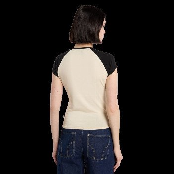 Dickies FORTH SHAW RAGLAN T-SHIRT IN BLACK