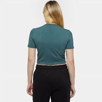 Dickies GLOBE T-SHIRT IN LINCOLN GREEN