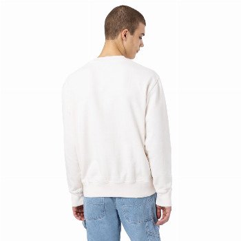 Dickies ICON WASHED SWEATSHIRT IN ECRU