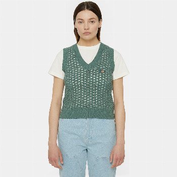 Dickies INGALLS KNITTED VEST WOMAN CLOUD