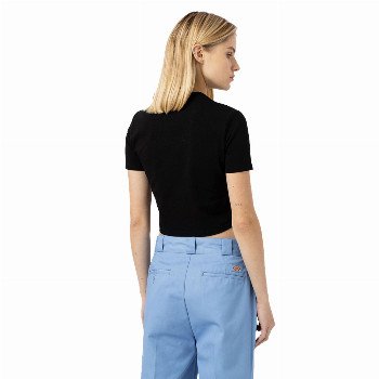 Dickies MAPLE VALLEY T-SHIRT IN BLACK