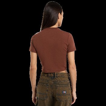 Dickies MAPLE VALLEY T-SHIRT IN CAPPUCCINO