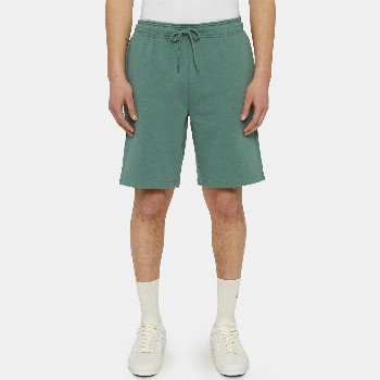 Dickies MAPLETON SHORTS MAN FOREST