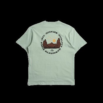 Dickies OUTDOOR T-SHIRT IN ICEBERG GREEN