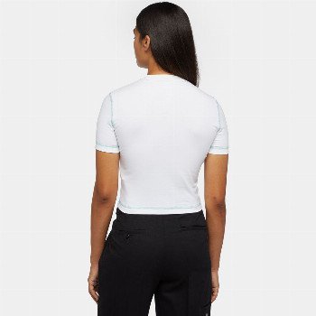 Dickies PHILISBURG SLIM T-SHIRT IN WHITE