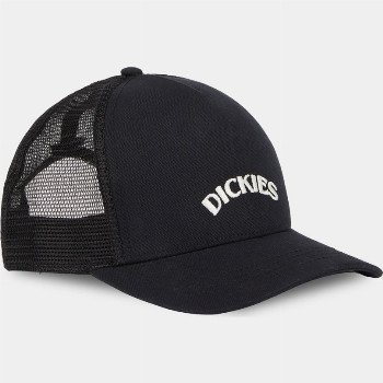 Dickies SHAWSVILLE TRUCKER CAP - BLACK