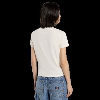 Dickies WILLISTON T-SHIRT IN EGRET