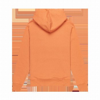 Element CORNELL CLASSIC HOODIE IN CORAL GOLD
