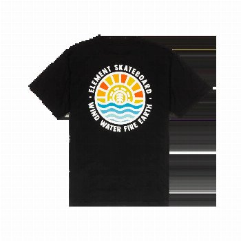 Element GREAT OUTDOORS T-SHIRT IN FLINT BLACK