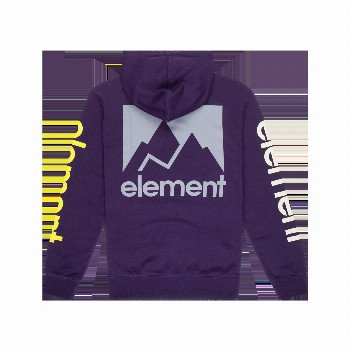 Element JOINT 2.0 HOODIE IN GRAPE