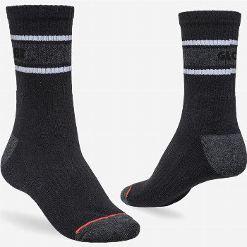 Globe TRIPLE STRIPE CREW SOCKS (5 PACK) IN ASSORTED