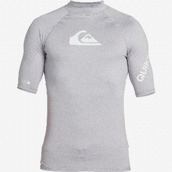 QuiksilverALL TIME - SHORT SLEEVE UPF 50 RASH VEST FOR MEN GREY