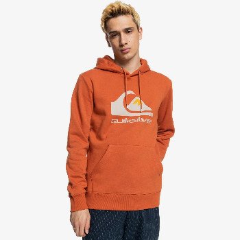 Quiksilver BIG LOGO - FLEECE FOR MEN BROWN