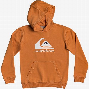 QuiksilverBIG LOGO - HOODIE FOR BOYS 8-16 ORANGE