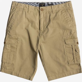 Quiksilver CRUCIAL BATTLE 21" - CARGO SHORTS FOR MEN BROWN