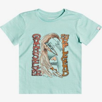 Quiksilver DIVING TO DEEP - T-SHIRT FOR BOYS 2-7 GREEN