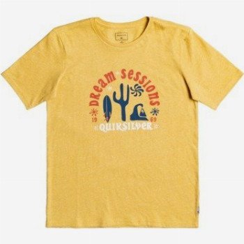 Quiksilver DREAM SESSIONS - ORGANIC T-SHIRT FOR BOYS 8-16 YELLOW