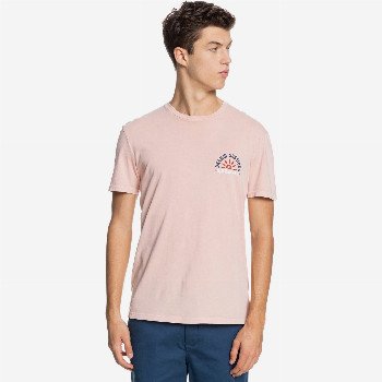 Quiksilver DREAM SESSIONS - ORGANIC T-SHIRT FOR MEN PINK