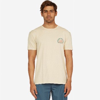 Quiksilver DREAM SESSIONS - ORGANIC T-SHIRT FOR MEN WHITE